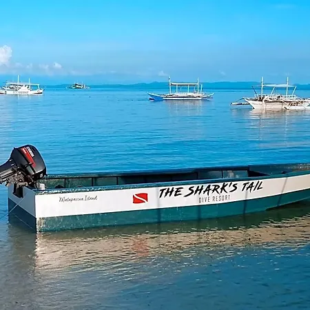 The Sharks Tail Dive Resort