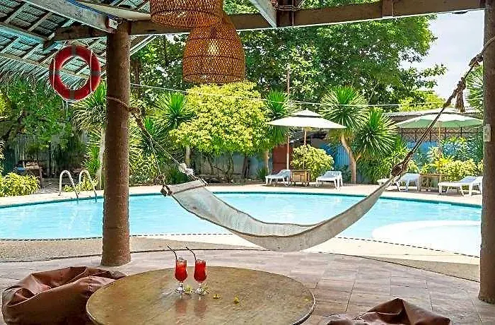 The Sharks Tail Dive Hotell Daanbantayan