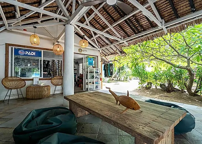 Hotell The Sharks Tail Dive 3*