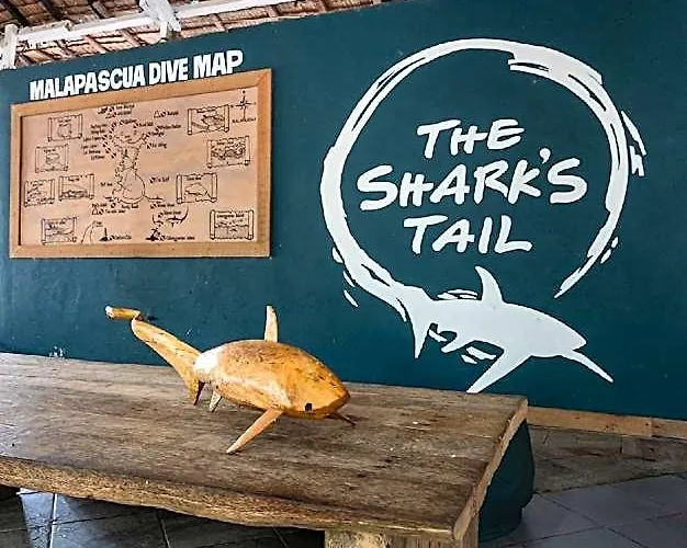 Hotell The Sharks Tail Dive