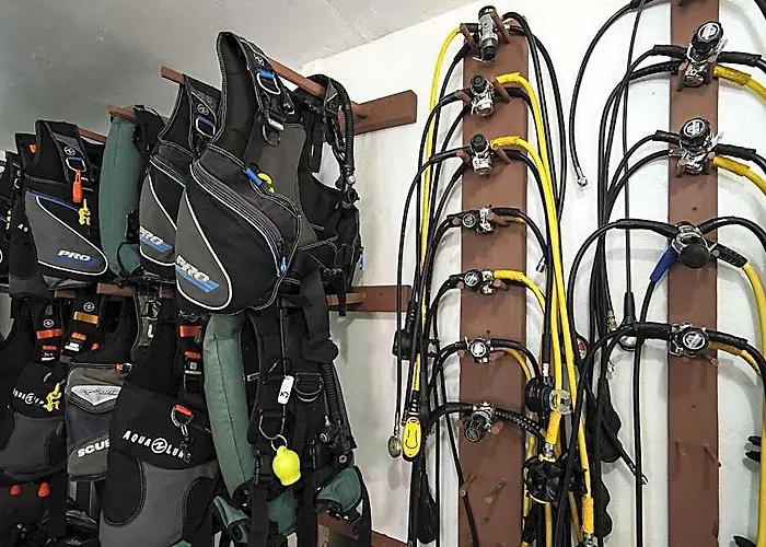 The Sharks Tail Dive Hotell 3*