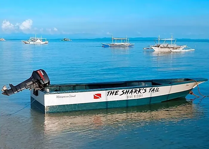 The Sharks Tail Dive Hotell 3*